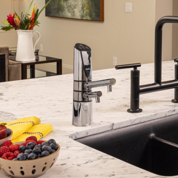 Delphi H2 Undersink Water Ionizer